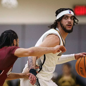 March Athletics Roundup: Panthers Rack Up Wins Across the Board