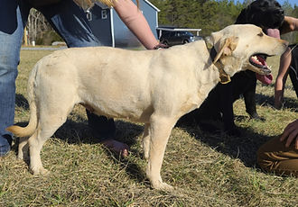 20220324_163717_edited.jpg
