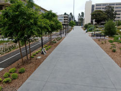 UCSD Ridge Walk