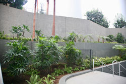 LA Stadium