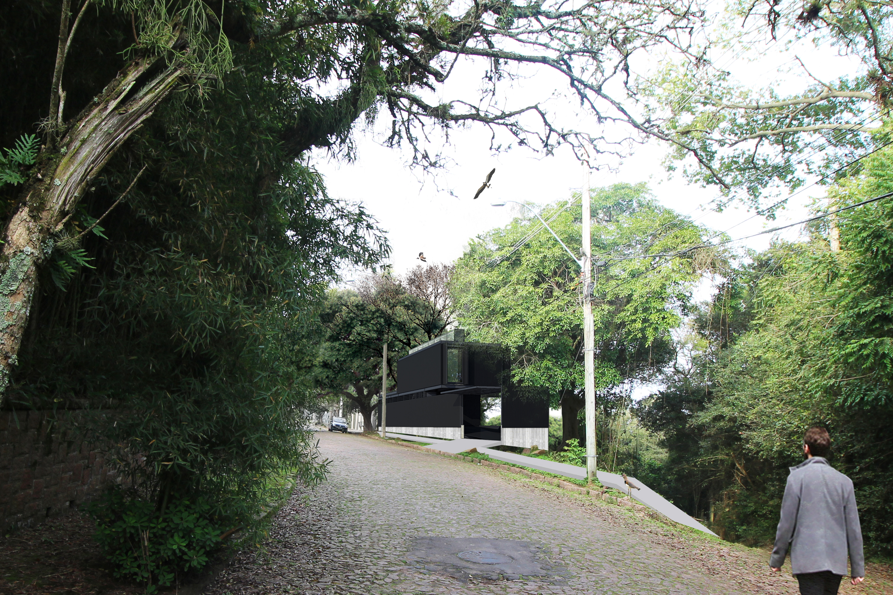 05 _ bolívar © sauermartins.jpg