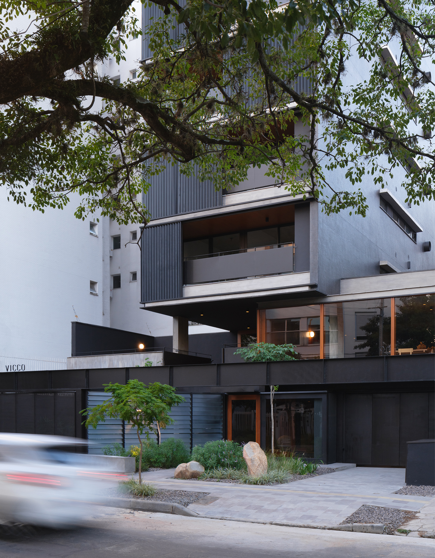 vicco © sauermartins.jpg