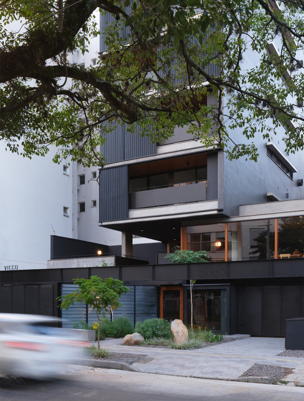 01 _ vicco © javier agustin rojas.jpg