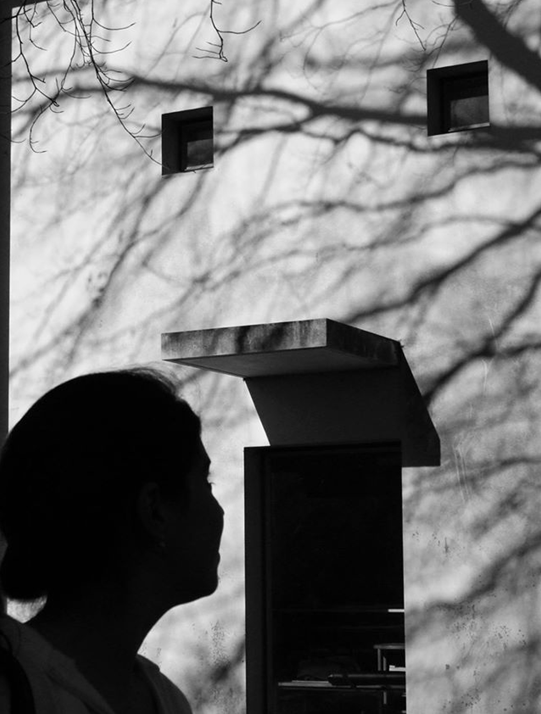 02 _ elisa t martins.jpg