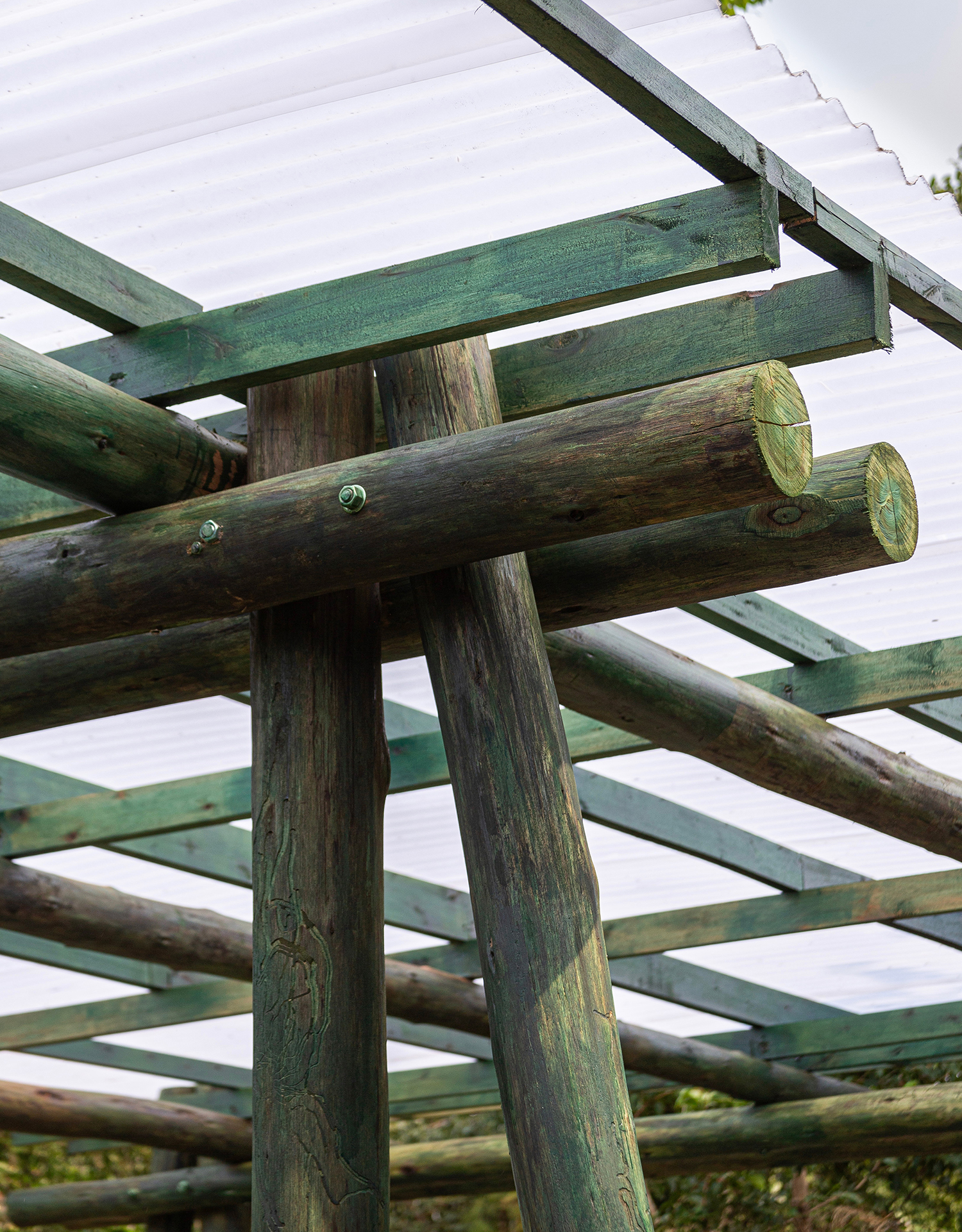 comedor emergencial © sauermartins.jpg