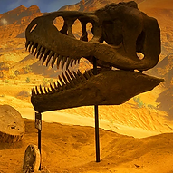 Image by Drew Dizzy Graham