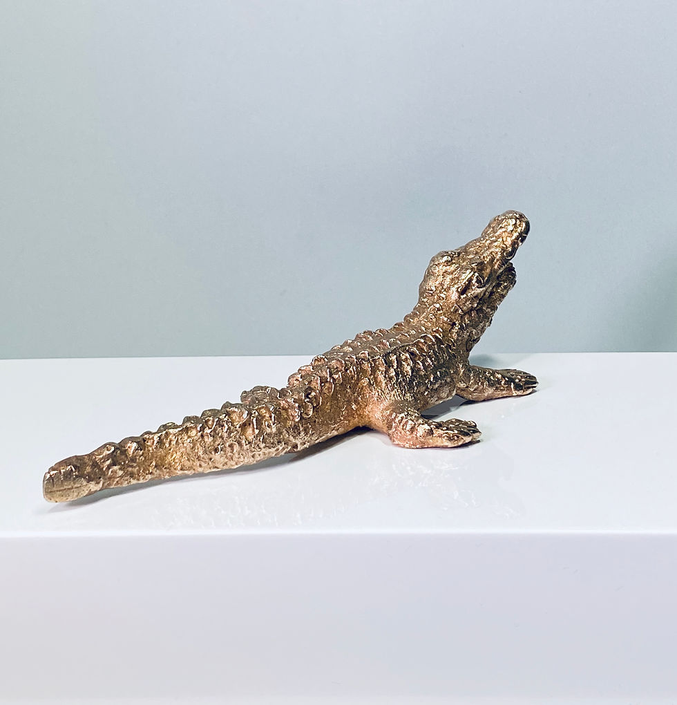 Thumbnail: Crocodile ND