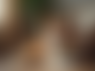 The Benefits of Emotional Support Therapy Pets