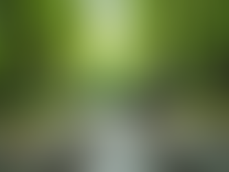 Regaining Happiness Tips: Steps to Find Happiness Again