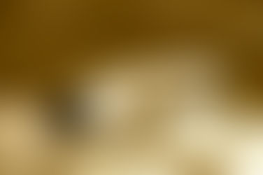 Designer Glasses in Ashton on Ribble