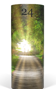 Towards The Light_edited_edited.jpg