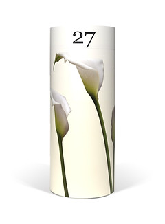 Lilies_edited.jpg