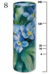 Forget Me Not.._edited.jpg