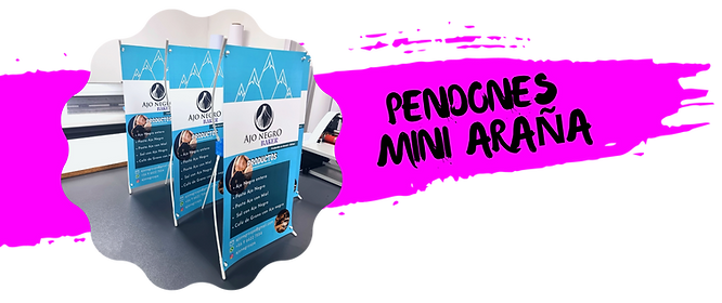 PUBLICACIONES WIX (5)_edited.png