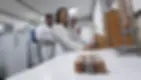 Labtec.webp