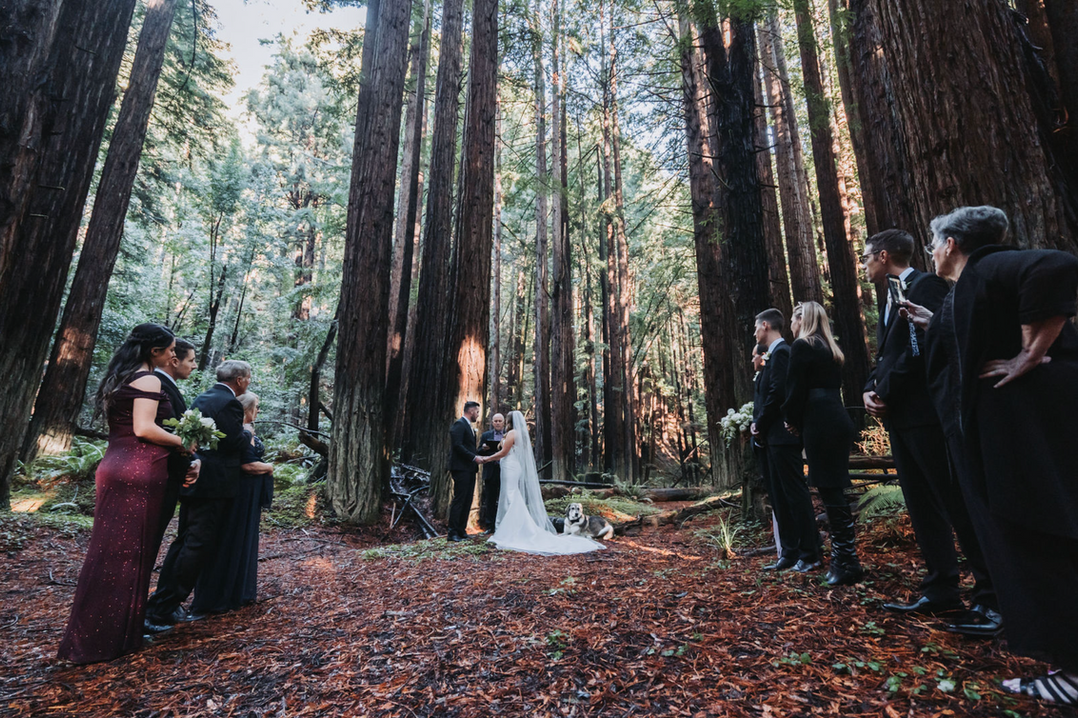 Screenshot 2023-01-14 at 8.20.51 PM.png