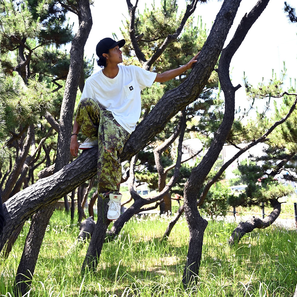 サムネイル： DOBB DEEP MATSUGARA PANTS