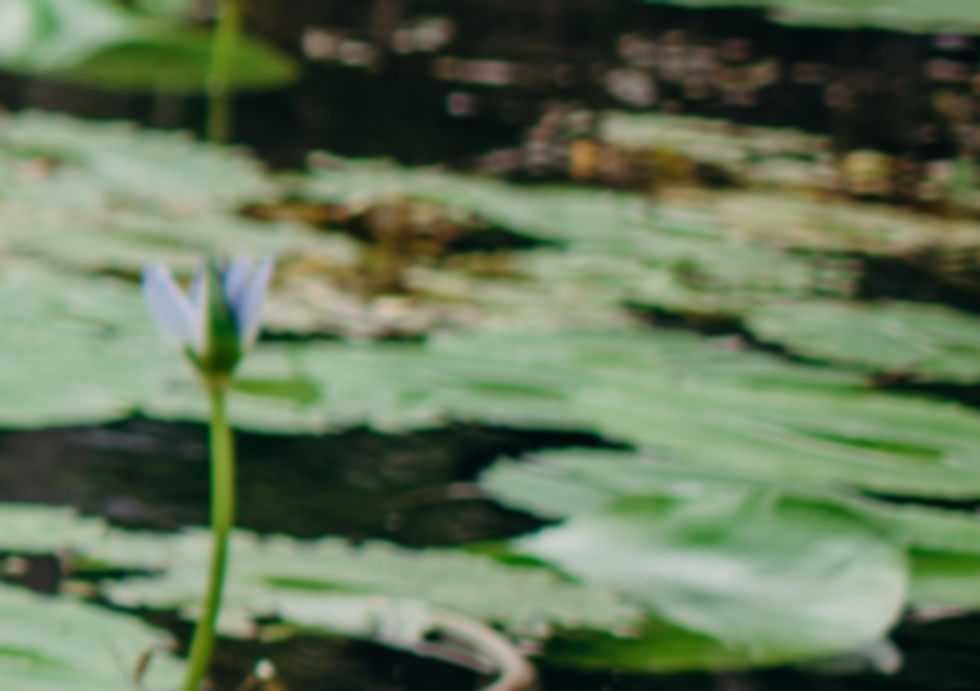 Tantra tantric massage Sydney sensual massage 