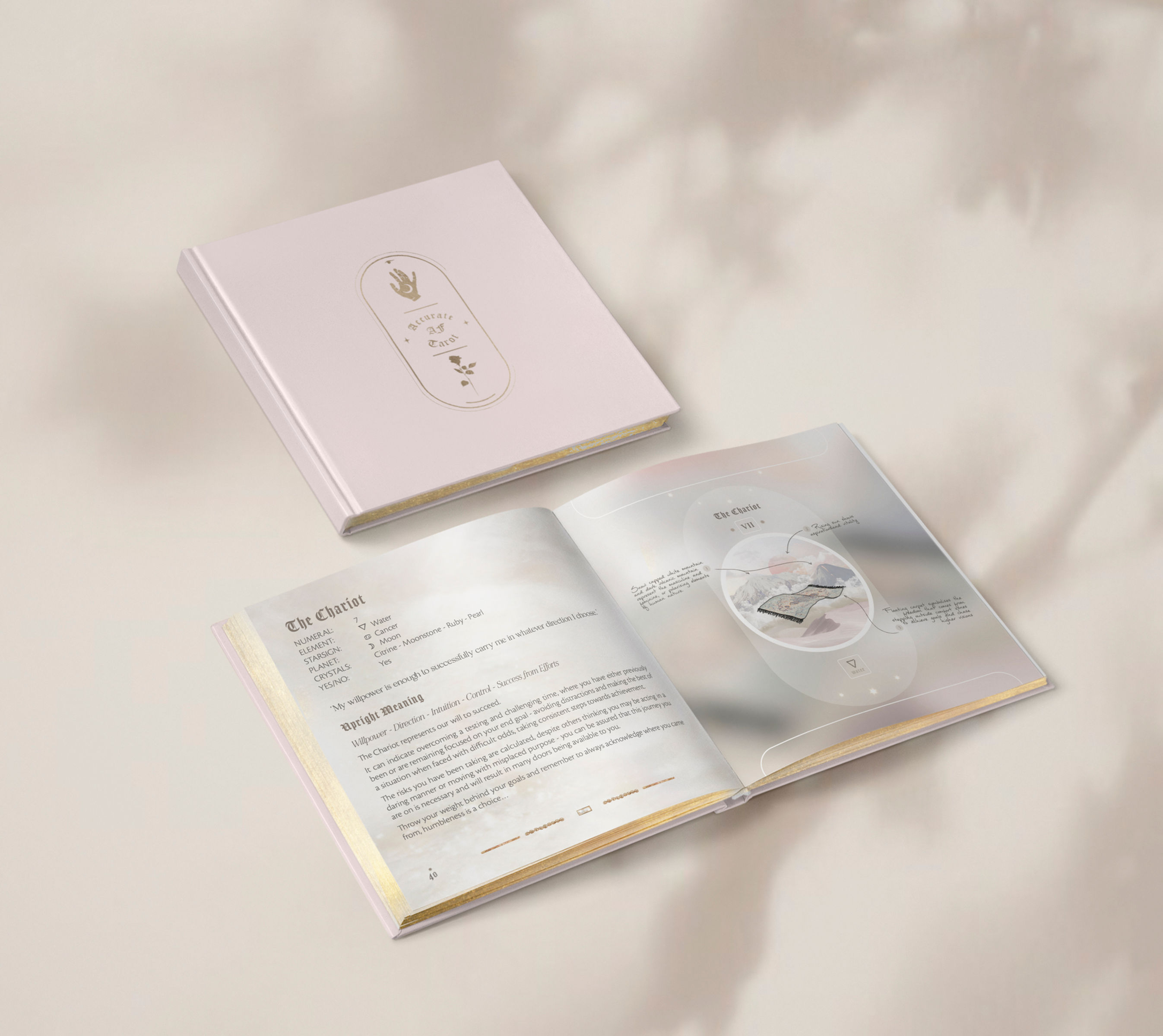 Accurate AF Tarot Guidebook