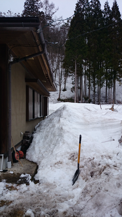 雪害　垂木折れ・鼻隠し割れ