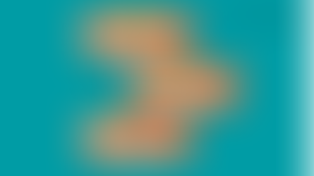 Convertendo CrÃticas em Oportunidades: O Valor Positivo das Avaliações Negativas nas Compras Online