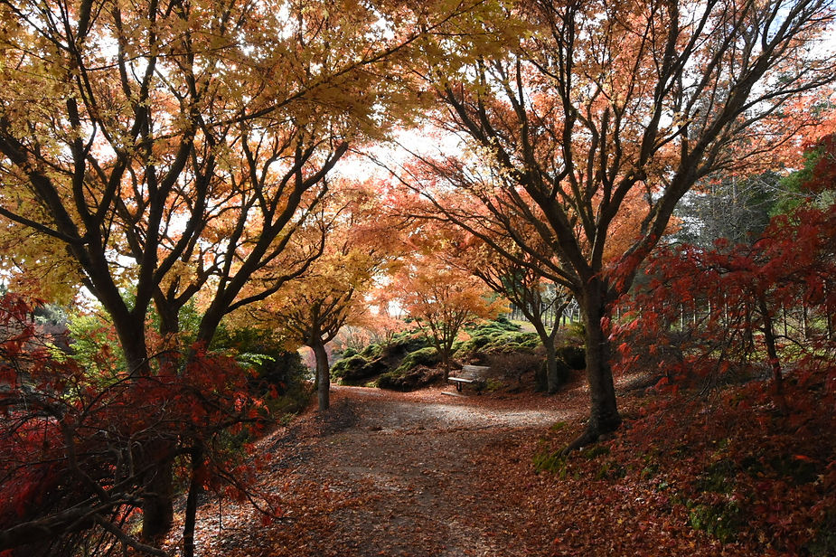 Centennial Park
