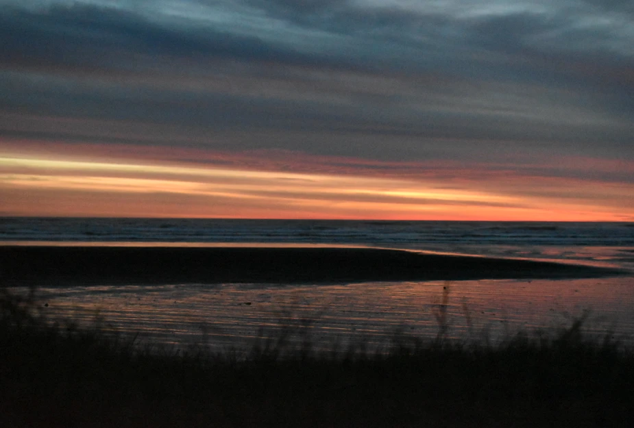 Karioitahi Beach