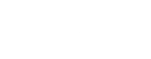 black-diamond-logo-1-min.png