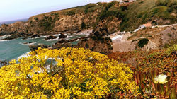 2017-06-03-17-22-13-585