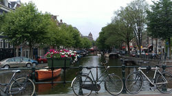 AMSTERDAO