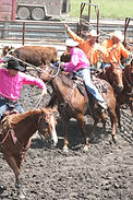 Ranch Rodeo