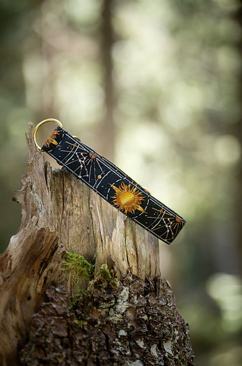 Illustration de collier pour chien de Nashoba Création