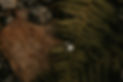 DD019CBF-2C90-471E-AD67-956C54349EC0.jpeg