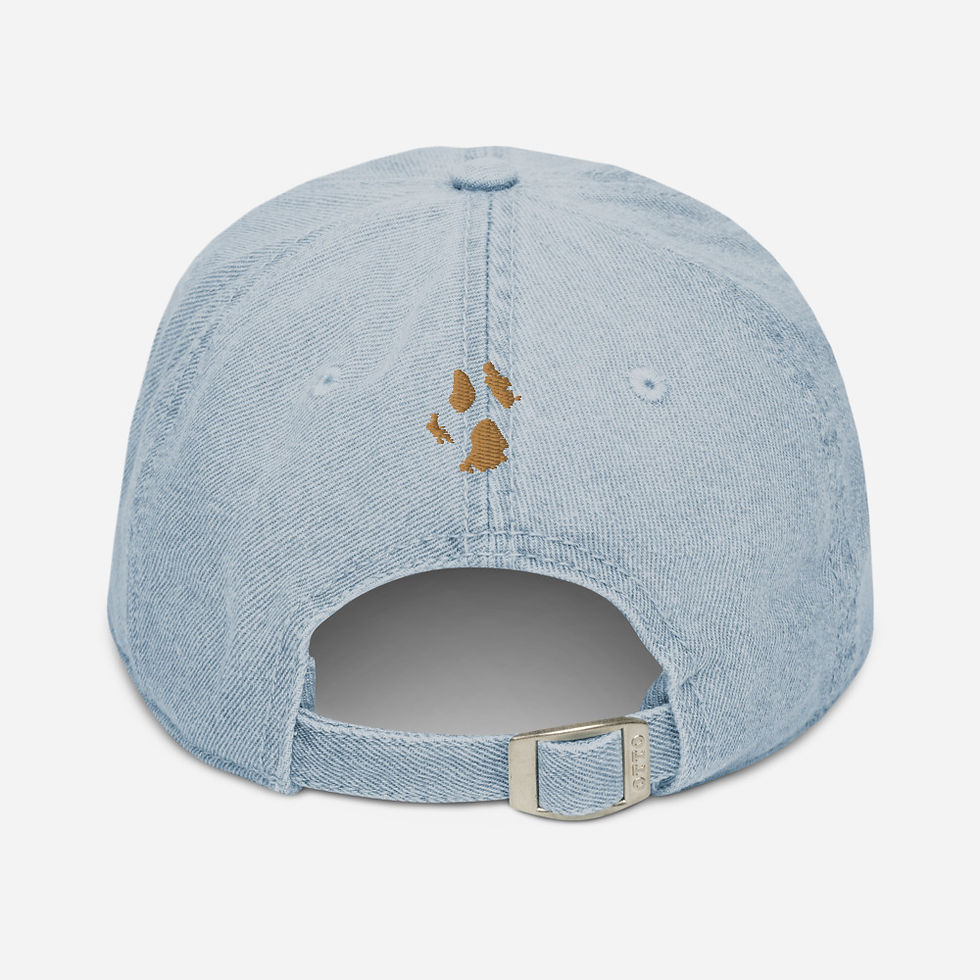 Thumbnail: ToTheMoon BluPhalcon Denim Unisex Dad Cap