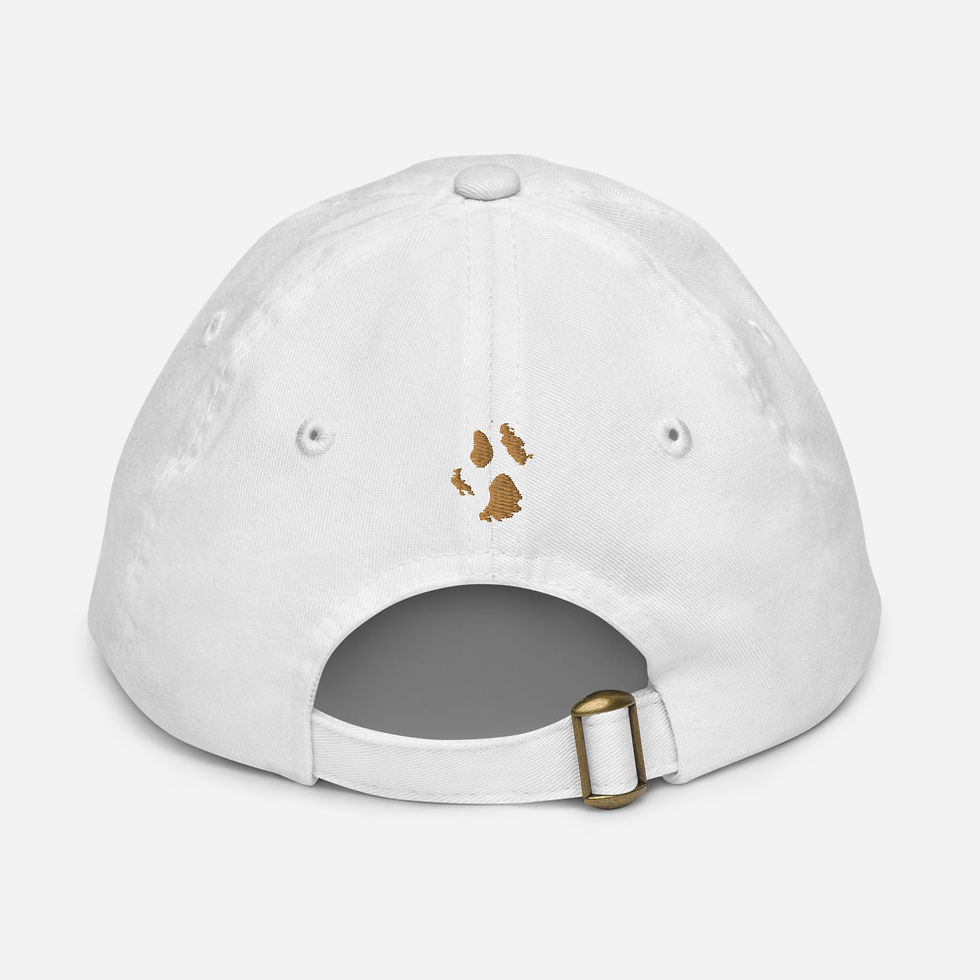 Thumbnail: ToTheMoon BluPhalcon Youth Unisex Cap