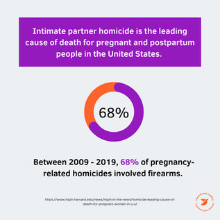 Firearm-related domestic violence is a maternal and child health issue