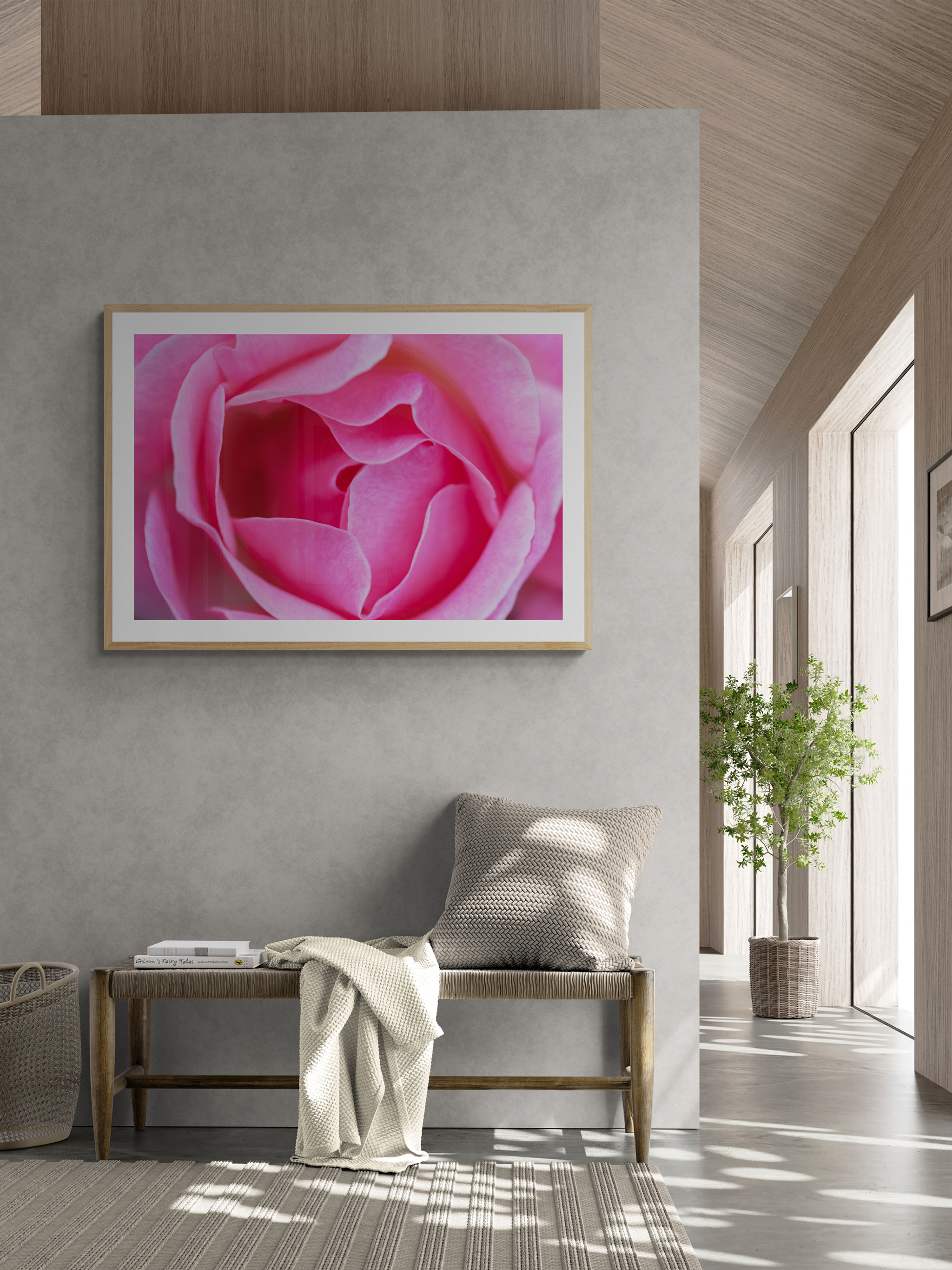 The Pink Rose