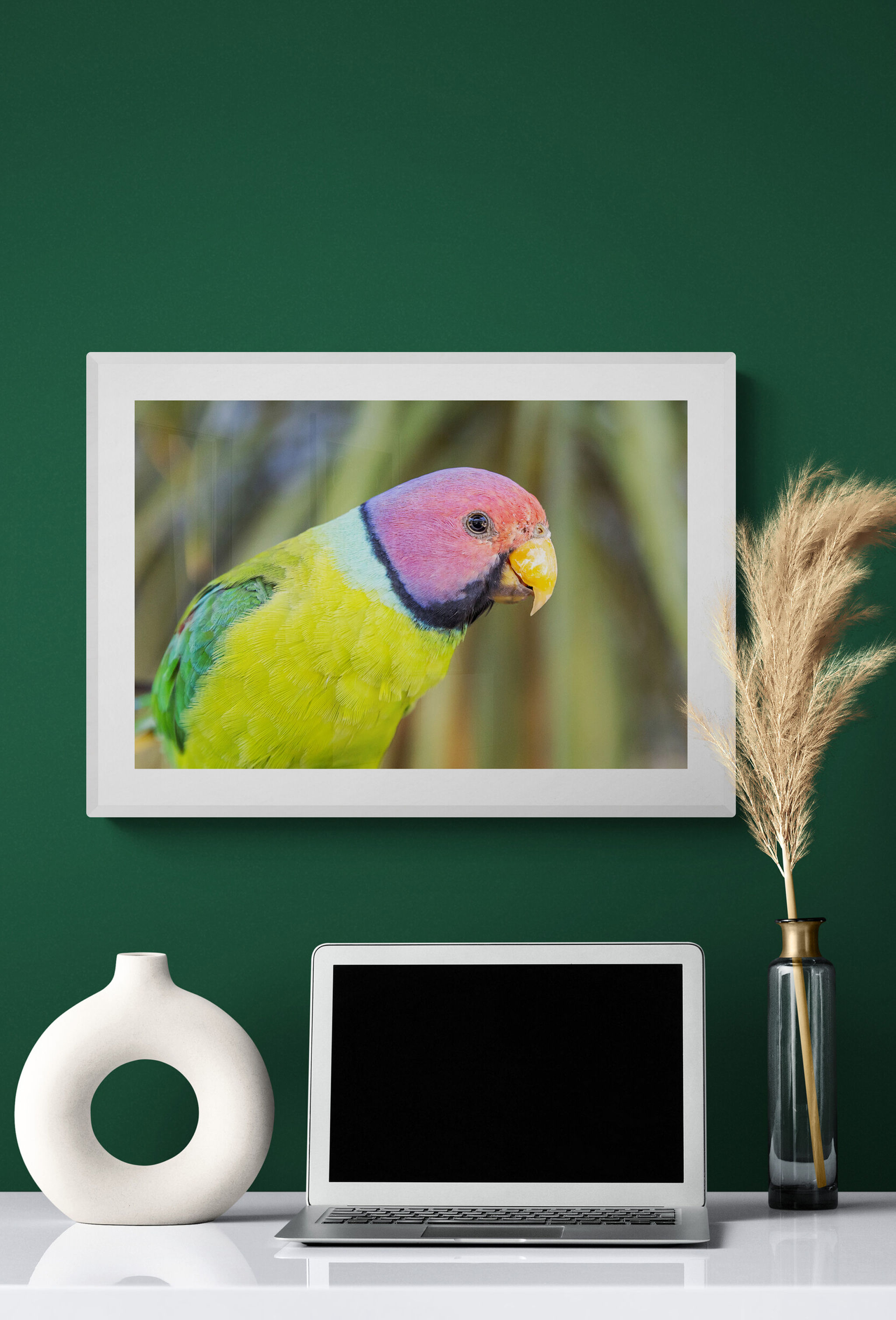 Blossom Headed Parrot