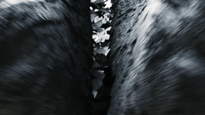 IMG_0826_1.gif