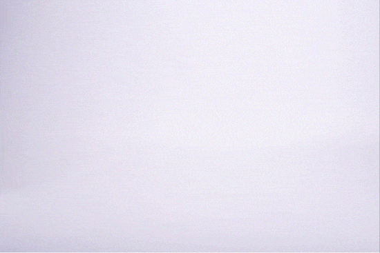 video loop 2_1.gif