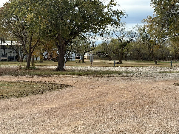 Shade provided by many trees