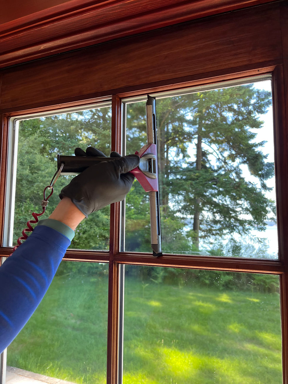 Gloved hand cleaning a wooden-framed window with a squeegee, looking out onto sunlit trees and a green lawn.