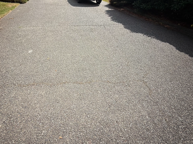 Sunlit asphalt driveway with a car partly visible at the top, bordered by bushes casting long shadows.