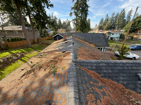 roof cleaning