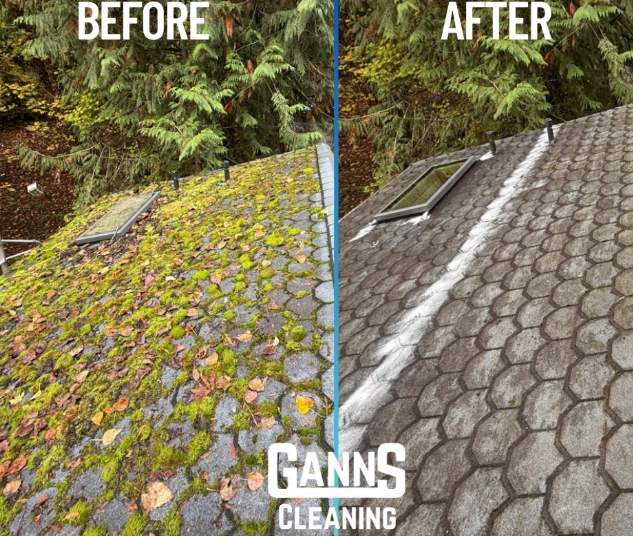 Before-and-after of a mossy roof cleaned beside trees; BEFORE, AFTER, and GANNS CLEANING text visible.
