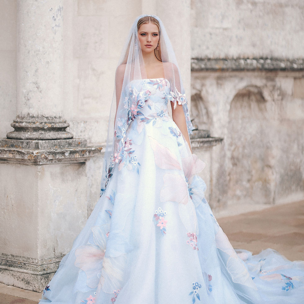 DP456-DV56-Rapunzel-04 (1)_edited