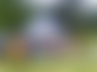 Malgas River Restoration Event 