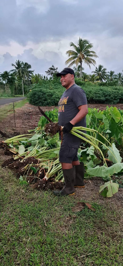 CEO Kome Lauano 
Taro Patch