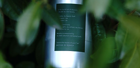 抹茶共和国 Matcha Republic