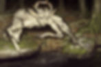 dryad.jpg